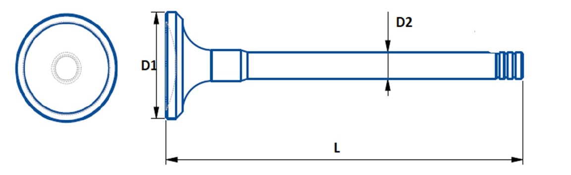 Inlet Valve